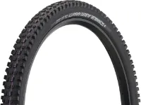 Schwalbe Albert Evolution Gravity Radial ADDIX Ultra Soft TLR 29" Faltreifen