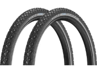 Schwalbe Marathon Winter Plus 20" Draht-Spikereifen 2er-Set