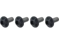 SILCA Flaschenhalterschrauben Torx