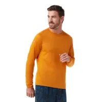 SmartWool Active Ultralite Langarm-t-shirt