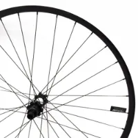 Specialized Roval Control 29´´ 6b Disc Mtb Hinterrad