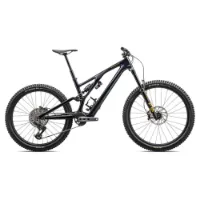 Specialized Stumpjumper Evo Expert 29/27.5´´ Gx Eagle 2024 Mountainbike