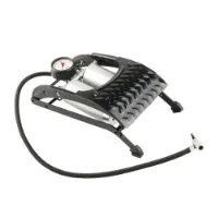 Stein Fußbetriebene Doppelkolbenpumpe