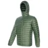 Green 1