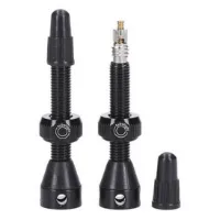 Tubolight Brass Mtb Tubeless Ventile 2 Einheiten
