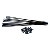 Vision Trimax Carbon Tc50 Speichen Und Nippel Kit 20 Einheiten
