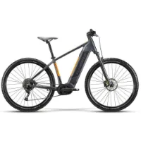 Whistle B-race A6.2 29´´ Elektrische Mountainbike