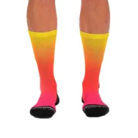 Zoot Team Fade Socken
